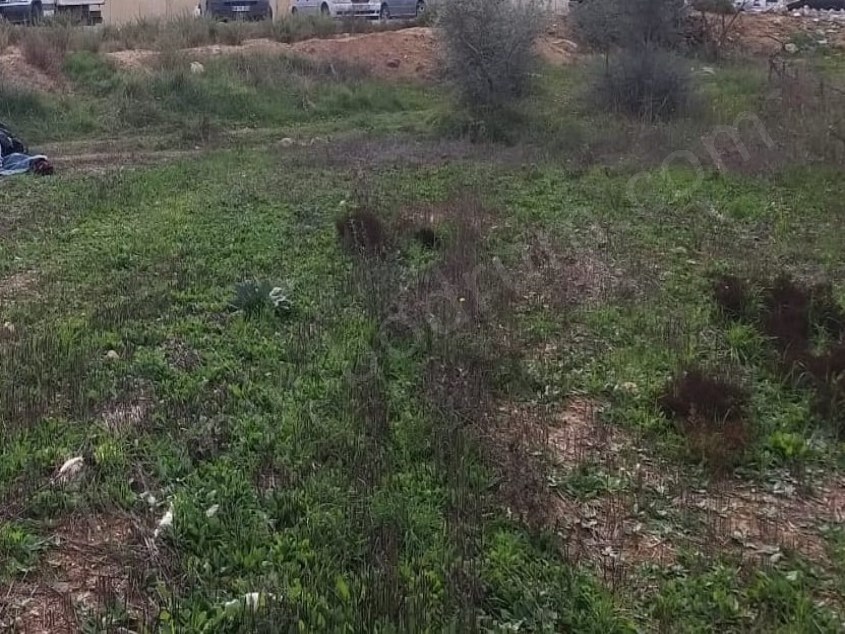 Fc Group tan Mumculardan Yeni Köy (Karaova) Satılık Tarla