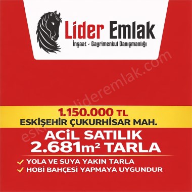 ACİL SATILIK ÇUKURHİSAR MAH. 2681m2 TARLA