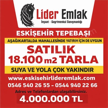 ESKİŞEHİR TEPEBAŞI AŞAĞIKARTAL MAHALLESİNDE SATILIK TARLA