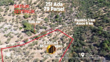 Satılık Zeytinlik — Ayvacık  Paşaköy — Assosa Yakın, Yola Cepheli, 2.203 m²