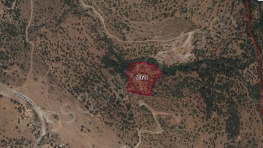 BEKTAŞ KÖYÜNDE SATILIK TARLA