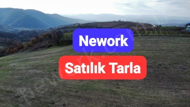 AVCIKÖY DE ANA YOL ÜZERİNDE SATILIK TARLA 18481 M2