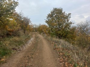 BURSA İZNİK HACIOSMAN 9140 M2 YOLA CEPHE İMARLI TEK TAPU SATILIK ARSA EMSALSİZ FİYATA KAÇIRMAYIN