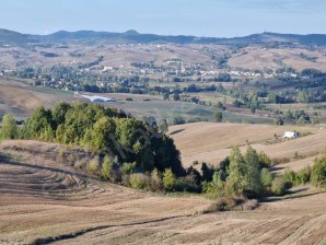 DERİNCE KAŞIKÇI 1548 M2 SATILIK ARSA YOLA 24 M CEPHELİ TEK TAPU İMARLI