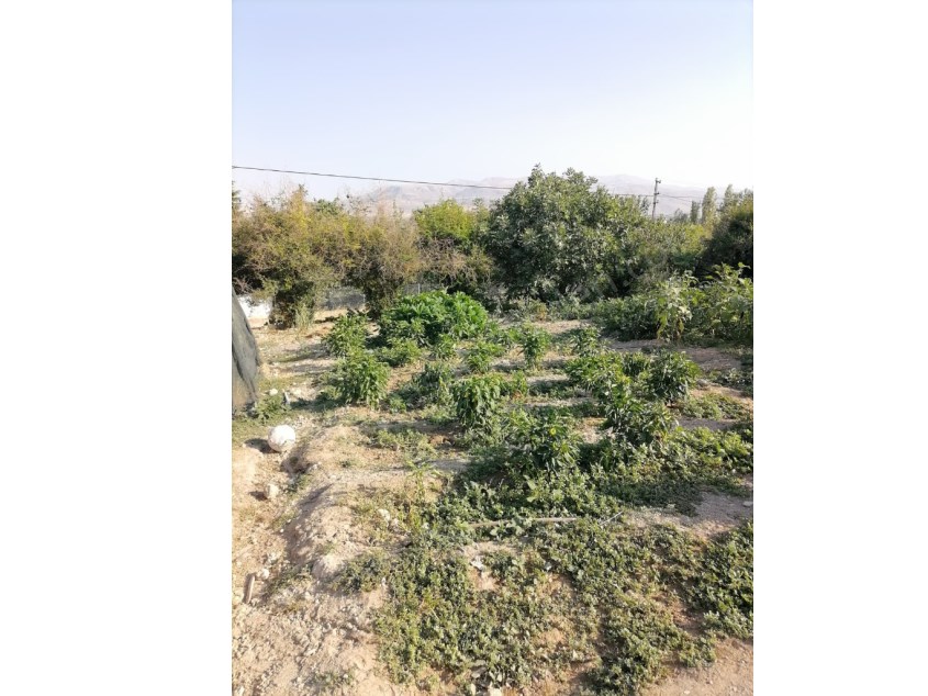 HANIMIN ÇİFTLİĞİNDE SATILIK ARSA