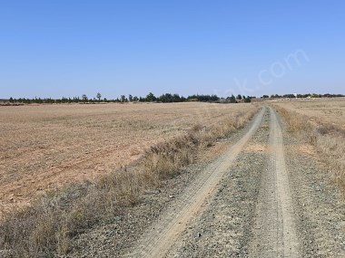 KONYA KARAMAN YOLU ARAÇ TAKASINA UYGUN SATILIK 2861M2 MUSTAKİL TARLA