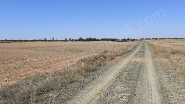 KONYA KARAMAN YOLU ARAÇ TAKASINA UYGUN SATILIK 2861M2 MUSTAKİL TARLA