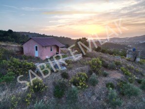 ALANYA SATILIK TARLA DEMİRTAŞ DENİZ MANZARALI