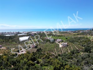 ALANYA KESTELDE SATILIK ARSA İMARLI DENİZ VE DOĞA MANZARALI