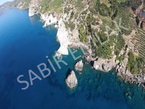 GAZİPAŞA SATILIK TARLA MUZKENT DENİZE SIFIR MUHTEŞEM FIRSAT