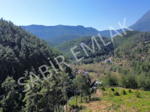 SATILIK TARLA – ALANYA FAKIRCALI KÖYÜ  4050 M2