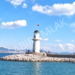 TARLA MI ALMAK MANTIKLI YADA FAİZE PARA MI YATIRMAK MANTIKLI ?