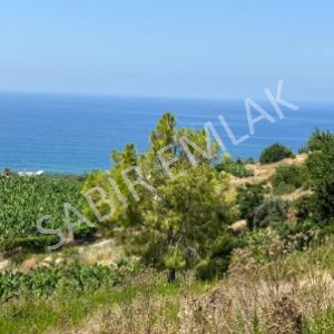 TARLA ALIP GELECEĞE YATIRIM YAPIN ? 