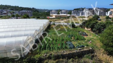 ALANYA SATILIK ARSA RUHSATLI 1.004 M2 YOLA SIFIR