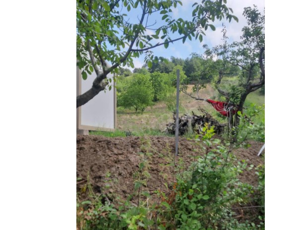 TURYAP ÖZCAN ÇAKIRDAN SERMAYECİK DE MEYVA BAHCESİ KONTEYNIRLI