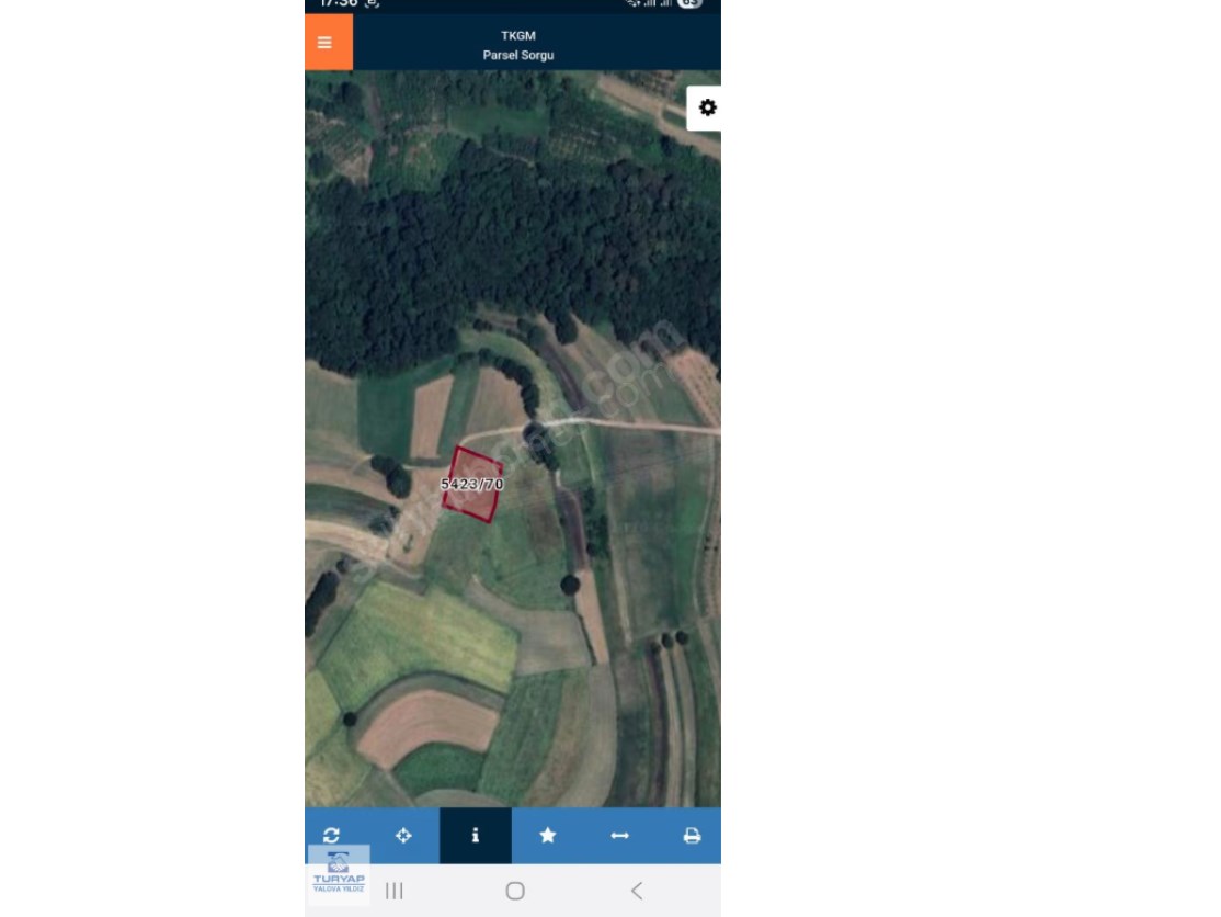 Sakarya Salmanlıda Satılık Tarla