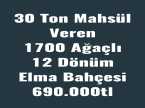 Çamardı Demirkazıkta 12Dönüm 1700Ağaç Kurulu Düzen Bahçe 