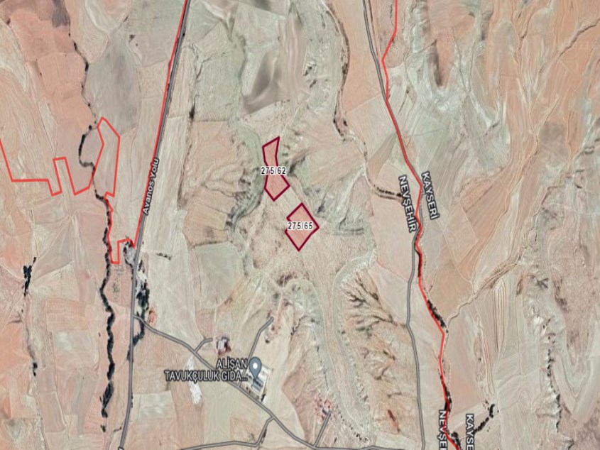 AVANOS GÖYNÜK TE SATILIK TARLA