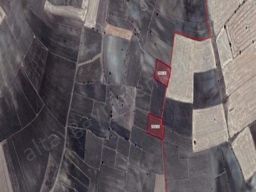 TALAS MENGÜCEK DE SATILIK TARLA