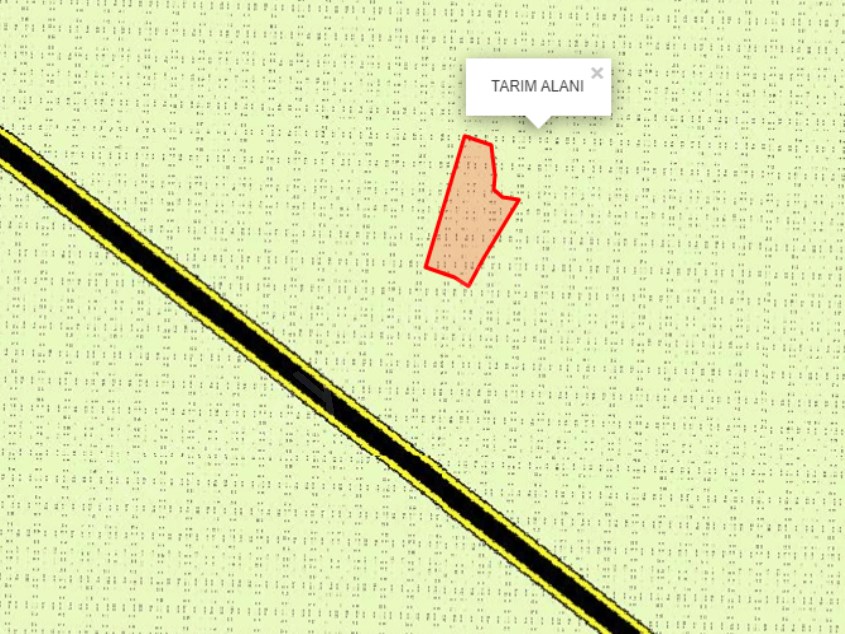 TALAS KURUKÖPRÜDE SATILIK TARLA 