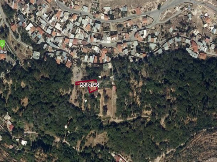 GESİ GÜNEY DE SATILIK BAHÇE