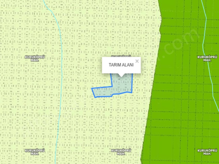 TALAS KURUKÖPRÜ DE SATILIK TARLA 