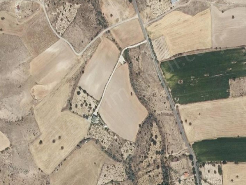 AĞIRNAS TA SATILIK BAĞ