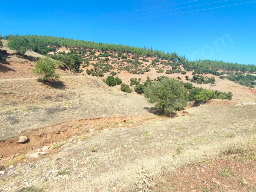 MONTEden    SATILDI    ALTINDERE Mevkii 487.5 m2 Tarla (anahtarinizbizde.com denizli satılık tarla)