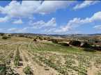 52 Decares of Land for Sale in Kofçaz