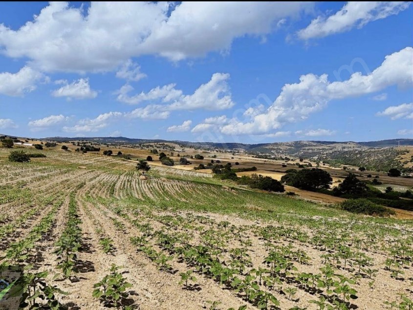 52 Decares of Land for Sale in Kofçaz