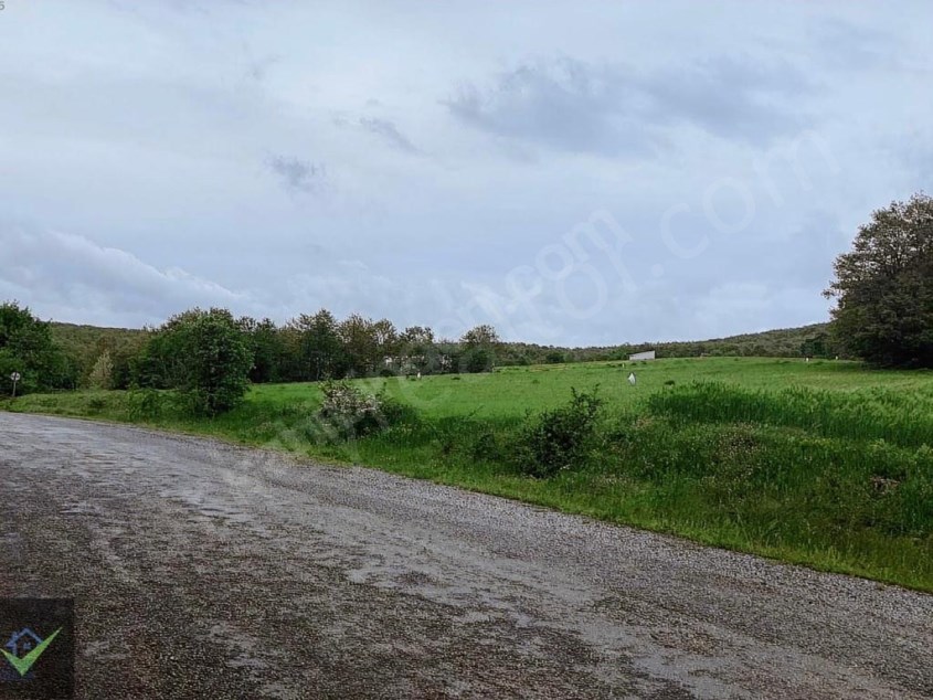 Field with Asphalt Frontage for Sale in Kırklareli Armağan