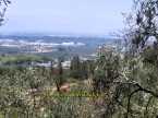 İDA GAYRİMENKULDEN EDREMİT ZEYTİNLİDE DENİZ MANZARALI 3 DÖNÜM ZEYTİNLİK