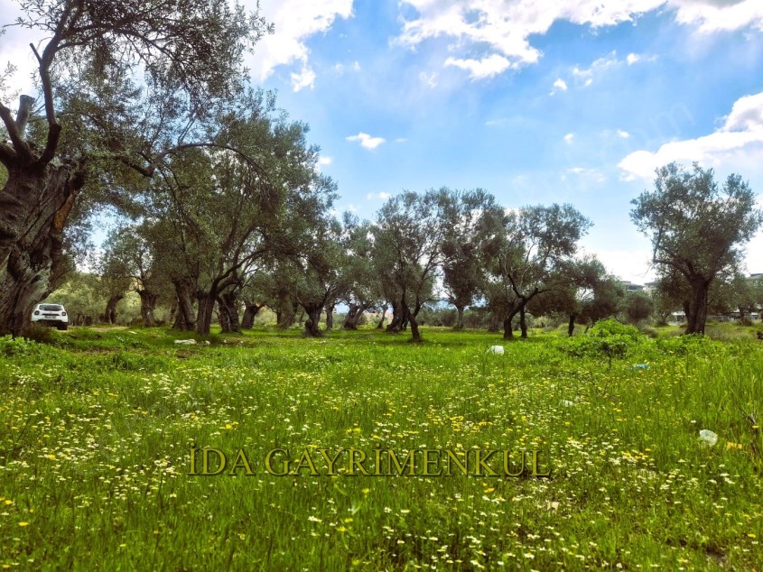 İDA GAYRİMENKULDEN EDREMİT BÖLGE TRAFİK ARKASINDA FIRSAT VİLLA ARSASI