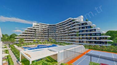 THE  QUEEN  COLLECTION