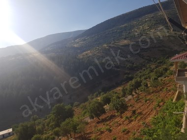AKYAR EMLAK dan 2.5 Dönüm bağ ve Ev 
