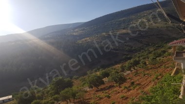 AKYAR EMLAK dan 2.5 Dönüm bağ ve Ev 