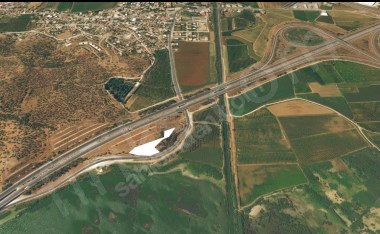 İZMİR SELÇUK BELEVİNDE YOL KENARINDA ZEYTİNLİK