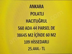 ANKARA POLATLI  HACITUĞRUL DA 60 M2 HİSSELİ TAPULU TARLA