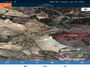 ANKARA ÇUBUK YUKARI ÇAVUNDUR DA 126 M2 HİSSELİ TAPULU TARLA