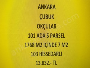 ANKARA ÇUBUK OKÇULAR DA 7 M2 HİSSELİ TAPULU TARLA