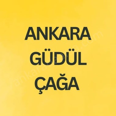 ANKARA GÜDÜL ÇAĞA DA 437 m2 TEK TAPULU BAĞ 