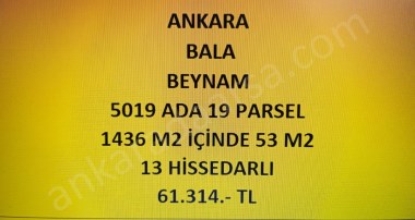 ANKARA BALA BEYNAM DA 54 m2 HİSSELİ TAPULU ÇAYIR