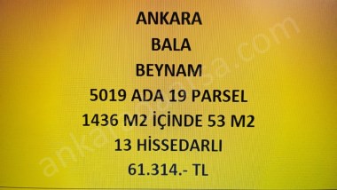 ANKARA BALA BEYNAM DA 54 m2 HİSSELİ TAPULU ÇAYIR