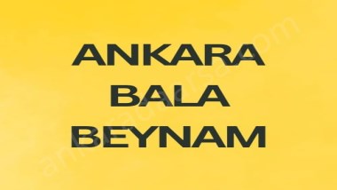 ANKARA BALA BEYNAM DA 54 m2 HİSSELİ TAPULU ÇAYIR