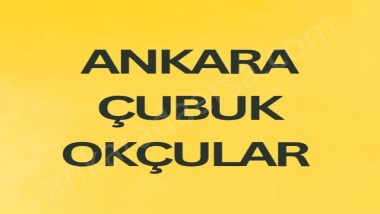 ANKARA ÇUBUK OKÇULAR DA 225 M2 HİSSELİ TAPULU BAĞ