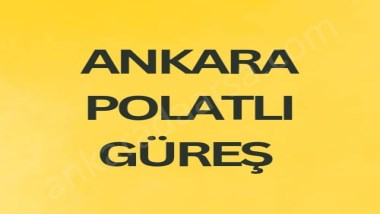 ANKARA POLATLI GÜREŞ DE HİSSELİ TAPULU 676 M2 TARLA