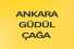 ANKARA GÜDÜL ÇAĞA DA 437 m2 TEK TAPULU BAĞ 