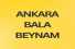 ANKARA BALA BEYNAM DA 54 m2 HİSSELİ TAPULU ÇAYIR