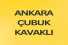 ANKARA ÇUBUK KAVAKLI DA 89 M2 HİSSELİ TAPULU TARLA