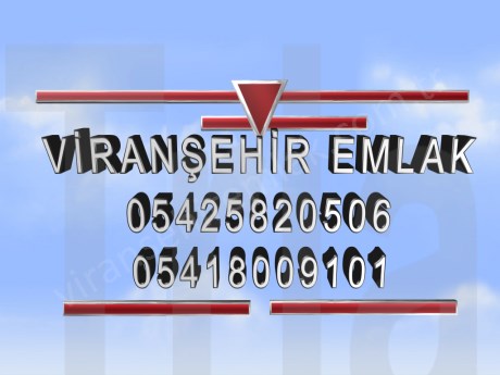 hatay antakya apaydın mahallesi satılık tarla zeytinlik